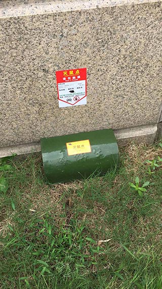 室外灭鼠
