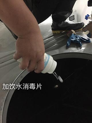 水箱清洗后加饮用水消毒片