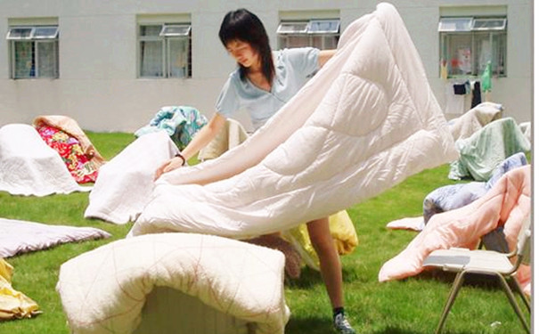 杀虫公司消灭臭虫最佳方法