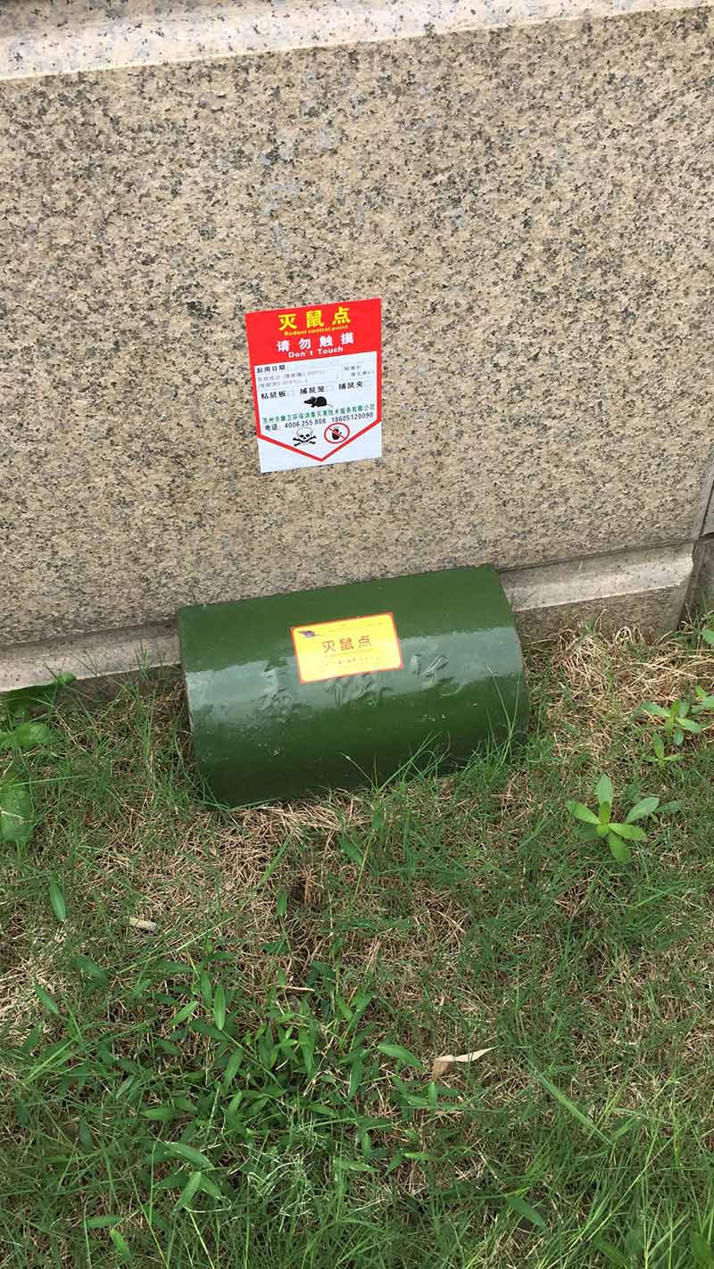 室外灭鼠点37.jpg